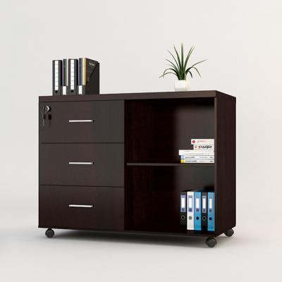 China PANEL Wanghai Furniture New Design Wooden Filing Cabinet for sale