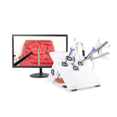 China Best Selling Laparoscopic Box Trainer Laparoscopic Trainer Simulator Laparoscopic Training Laparoscopic Simulator Box Abdominal Surgery for sale