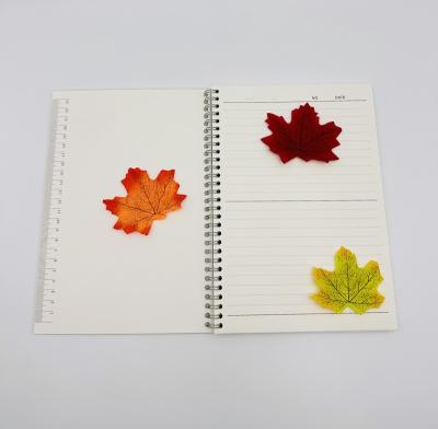 China Spiral Binding Transparent Notebook PP Campus B5 Environmental Cover Notebook for sale