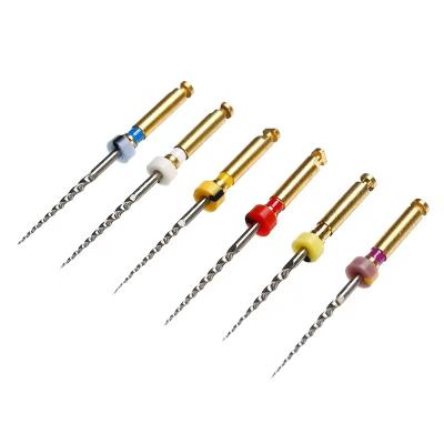 China Best Price 6Pcs Dental Regional High Quality Dental Endodontic Files For Motor Endodontic Treatment for sale