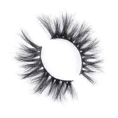 China Natural 3d Free Plastic Clear Case 18 Mm 25 Mm Fluffy And Tapered Eyelashes Real Mink 5d Wholesaler Customized Boxes F Cruelty Free for sale