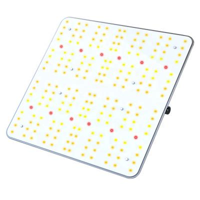 China Seed Starting USA Warehouse In Current 120W Full Spectrum Led Grow Light Panel For Grow Tent Indoor Plants Grow for sale