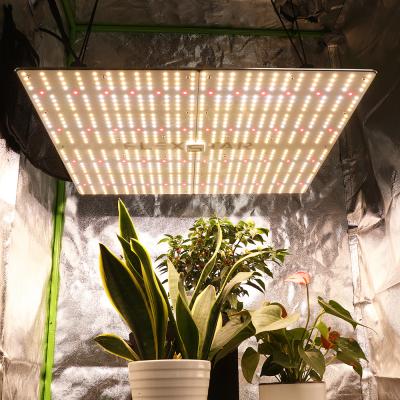 China SINOWELL FLEXSTAR 480W Quantum Aluminum Full Spectrum Led Grow Light Panel Dimmable USA Warehouse In Stock for sale