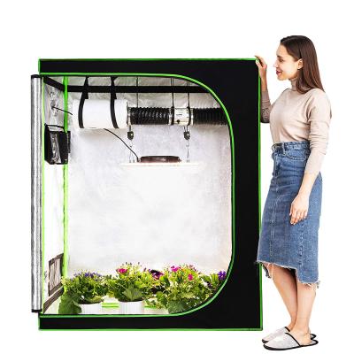 China Custom Size Easily Assembled 600d Aluminum Oxford Hot Sale Hydroponic Grow Tent For Indoor Plants Grow for sale