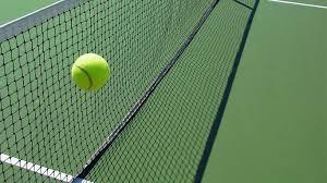 China Black, knotless Tennis Nets en venta