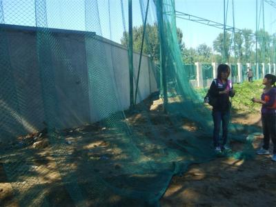 China Sports Barrier Netting en venta