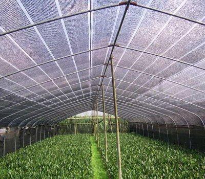 China Shade Netting for garden for sale