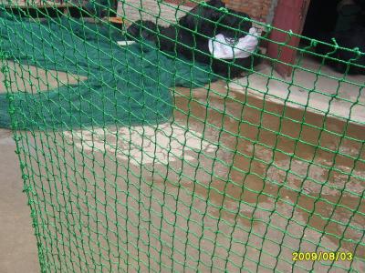 China Safety Knotless Netting, Green Color, PP strong fiber en venta