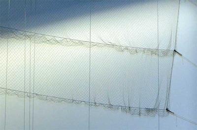 China Mist Nets, Anti Bird Netting, Anti Mist Nets, Nylon Mist Nets en venta