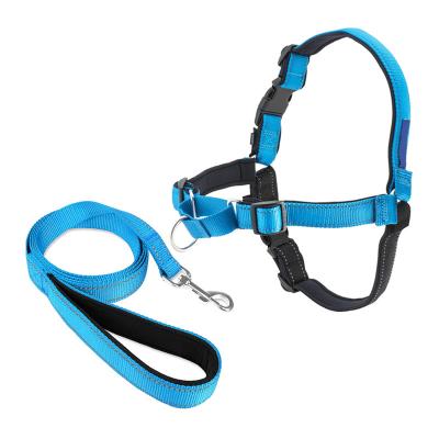 China Custom Reflective Nylon Adjustable No Pull Soft Neoprene Padded Dog Leash And Harness Set for sale