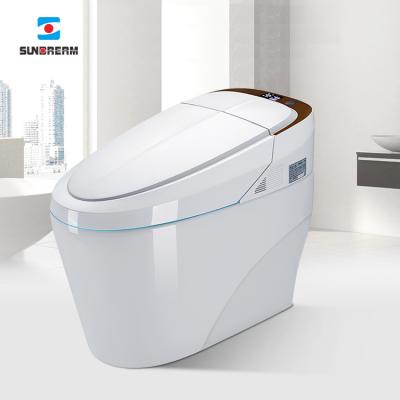 China Automatic Operation High Level Smart Toilet Automatic Cleaning Toilet Seat for sale