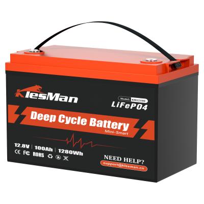 China 1000mAh LiFePO4 Rv Batterie Lithium-Eisen LiFePO4 Batterie 2000 Lebensdauer zu verkaufen