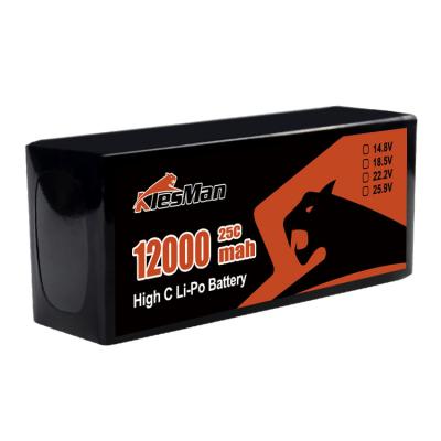 China 6S 10C 25C 22.2V 10000mAh 12000mAh 16000mAh 22000mAh 30000mAh Solid State Drone Batteries for Agriculture UAV en venta