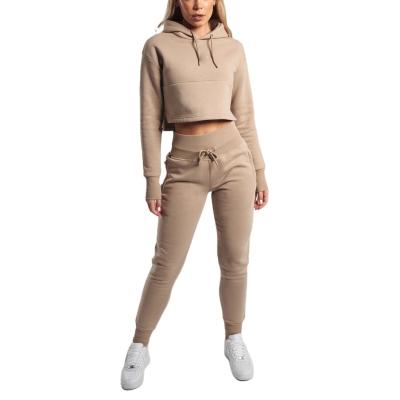 China 2021 Wholesale Custom Crop LOGO Hoodie Tracker Breathable Top Women Casual Plus Size Sportswear Set Tracksuits For Women for sale