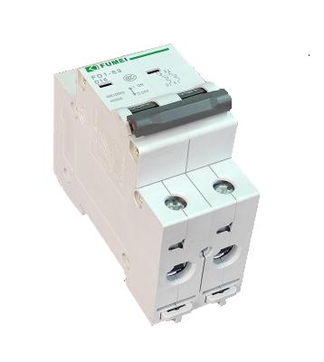 China micro circuit breaker C65N MCB 1P 2P 3P 4P FD1-63/2P for sale