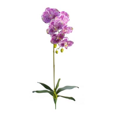 China B7 Natural Single Touch Phalaenopsis Artificial Flower Pole Orchid With Leaves Artificial Decorative Orchid Flowers Wholesale for sale