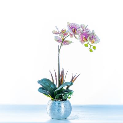 China Decoration Phalaenopsis Simulation Flower With Pot Gift Decoration Opens 2022 Phalaenopsis Decorations Modern Minimalist Butterfly Orchid for sale