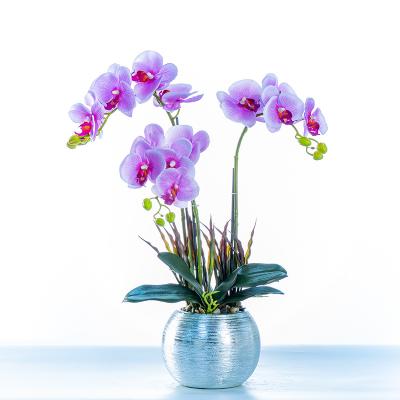 China Decoration Phalaenopsis simulation flower with pot gift decoration opens spring and summer new living room decoration orchid for sale