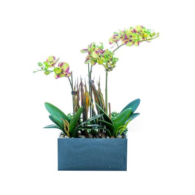 China Decoration Phalaenopsis simulation flower with pot gift decoration open 2022 summer party gift decoration orchid for sale