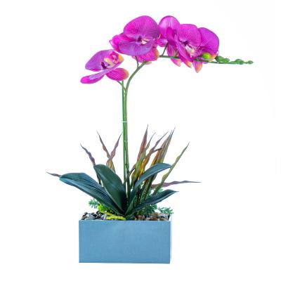 China Decoration Phalaenopsis with pots simulation flower decoration opens ornaments modern minimalist Phalaenopsis for sale