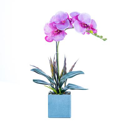 China Decoration Phalaenopsis with pots simulation flower decoration opens ornaments new spring and summer living room bedroom decorations for sale