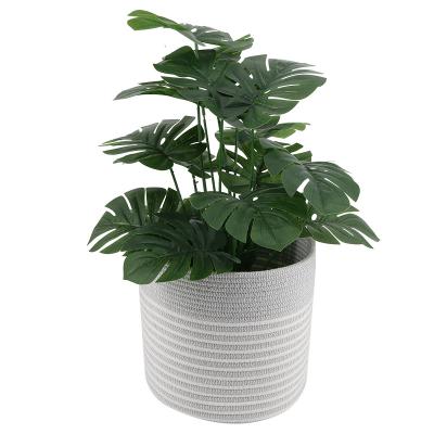 China Wholesale Viable Plant Foldable Cotton Woven Rope Basket For Home Organizer Laundry Basket Flower Pot Decor Planters Storage for sale