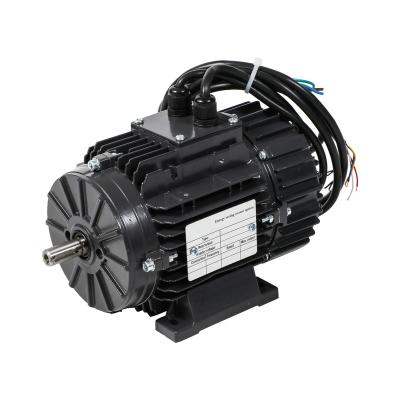 China Totally Enclosed EC Motor PMSM Motor for sale