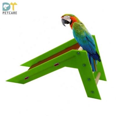 China Stocked Parrot Supplies Bird Toys Educational Interactive Toys Skill Training Parrot Slides for sale