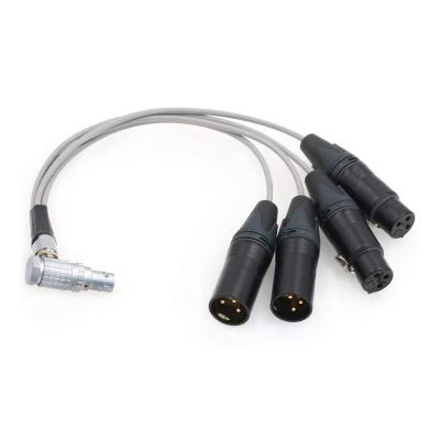 China Mic Audio Breakout Cable 10 Pin to 4X XLR 3 Pin for Atomos Shogun Hell Monitor L10m-4xxlr4m-r Disc L10m-4xxlr4m-r for sale