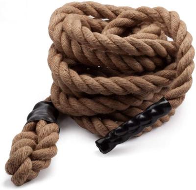 China High Density Thick Climbing Leash Twisted Exercise Rope For Gym Fitness Training for sale