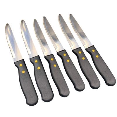 China Sustainable Kitchen 6pcs Stainless Steel Meat Cutter Blade Steak Knife Set for sale