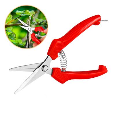 China Anti-Slip Handle Pruner and Garden Shears Scissors for Gardening Events and Flower Art Activities with Stainless Steel Blade and Soft PP Handle for sale