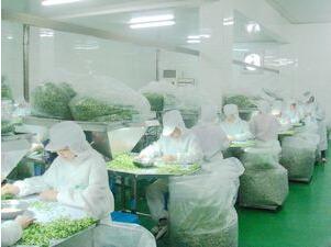 Verified China supplier - Xinghua Hongsheng Food Co., Ltd.