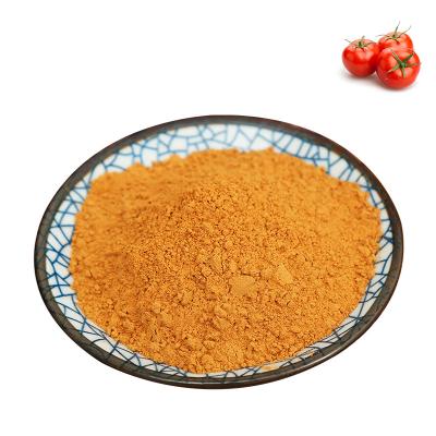 China Dried Tomato Powder Dried Tomato Powder Pure Tomato Powder for sale