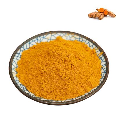 China Dried Turmeric Seasoning Powder Hot Air Dry Turmeric Powder Dried Turmeric Powder for sale