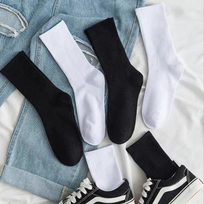 China Wholesale New Spring QUICK DRY Breathable Pure Color Cotton Soft Socks Black White Black Men for sale