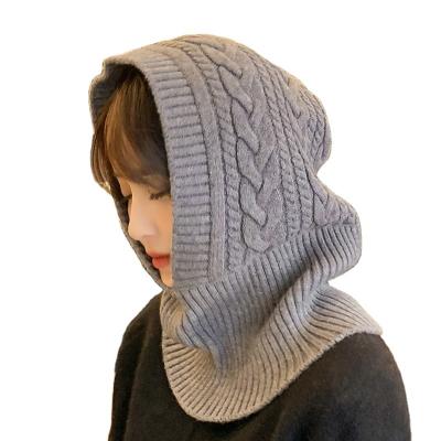 China COMMON Beanies Hats High Quality Women Ribbed Knitted Hood Hat for sale