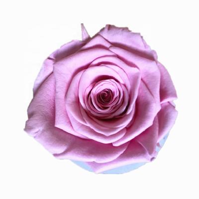 China Wholesale natural size 4-5cm everlasting preserved roses long llasting quality and natural touch best real for sale