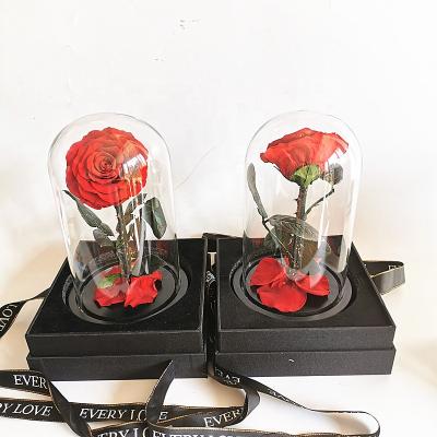 China Long llasting and natural touch best selling preserved roses in glass domed all kinds of colors in stock. for sale