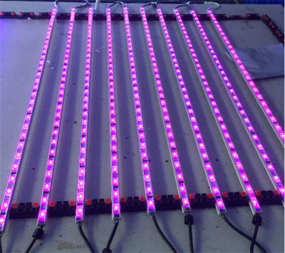 China Programmable Sign Strip RGB Light Bar Digital Led Dmx Madrix LED Light for sale