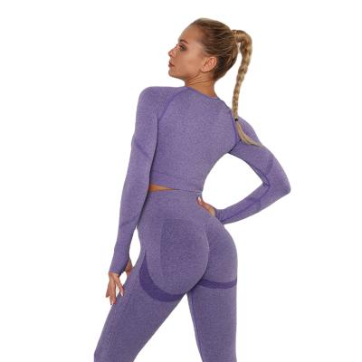 China 2021 New Arrivals Women Active Wear 2 Piece Set Breathable Slim Fit High Elastic Fitness Seamless Yoga Set for sale