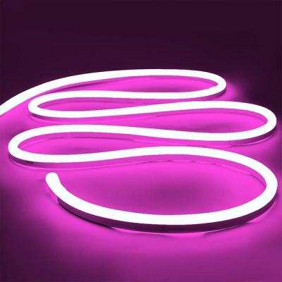 China LANDSCAPE Neon Lamp Flexible Strip Light 12V Flexible Neon Light Sign for sale