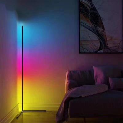 China Popular Functions Lighting RGB Led Nordic Floor Lamp Shade Bedroom Selfie Floor Lamp High Quality for sale