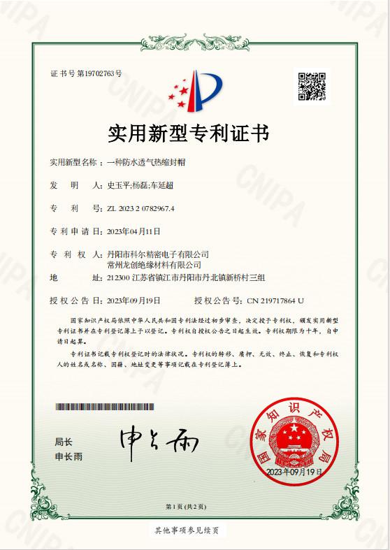 letters patent - Danyang Kore Precision Electronic Co., Ltd.