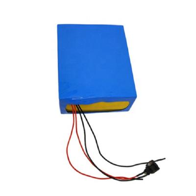 Cina OEM veloce della tassa del ciclo profondo di 24V 12Ah Marine Lithium Ion Battery 150W in vendita