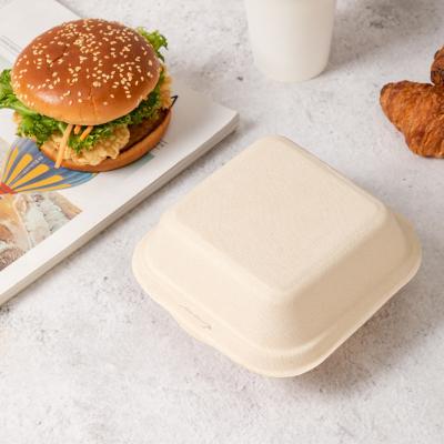 China Small Disposable White Compostable Sugar Cane Bagasse Paper Pulp Hamburger Boxes for sale