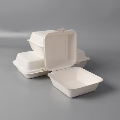 China Bagasse 9