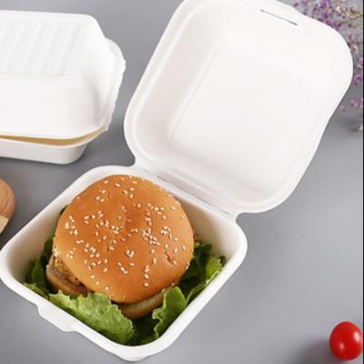 China Bagasse Eco-Forward 9