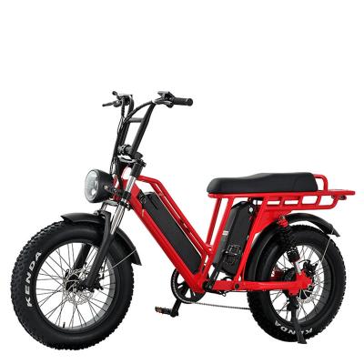 China Electric Bike 20