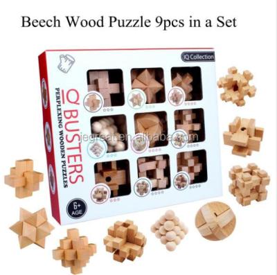 China Intellectual Classic 9 in 1 Developmental 3D Wooden Cube Brain Teaser Puzzle for sale